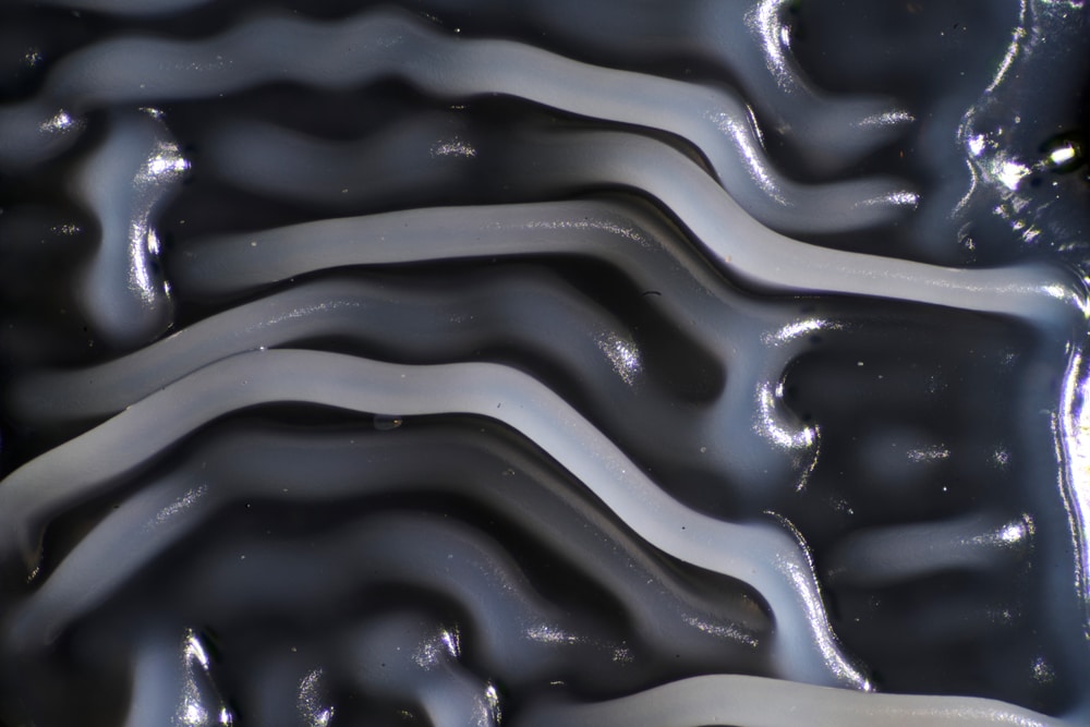 A close-up view of the writing created by Said Dokins for the Bio Recrituras project. The writing is made with living organisms growing on a cultivate medium.