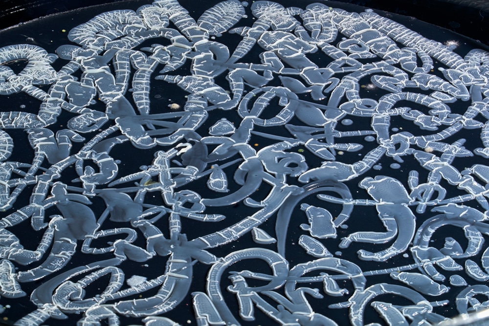 A close-up view of the writing created by Said Dokins for the Bio Recrituras project. The writing is made with living organisms growing on a cultivate medium.