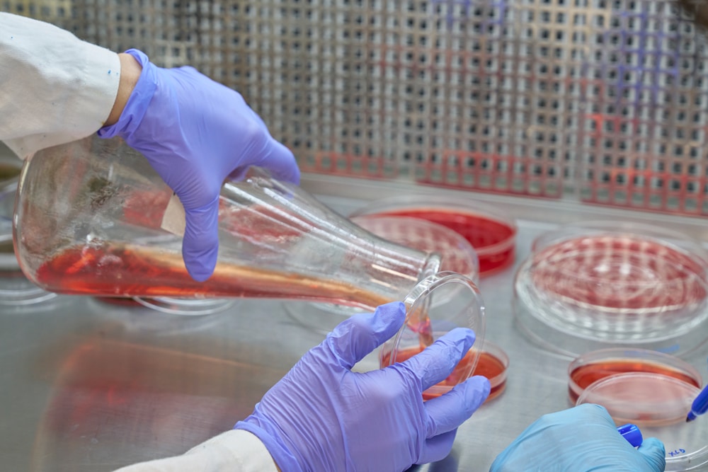 In a laboratory at Tec de Monterrey, the contemporary artist Said Dokins is shown in the midst of a work-in-progress experimentation for the Bio Recrituras project. Dra Carmen González, Aurea Ramírez and Paola Angulo working with the artist