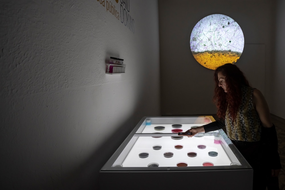 A view of the Bio Recrituras project by Said Dokins, an installation art piece featuring living organisms. One person is observing the artwork.