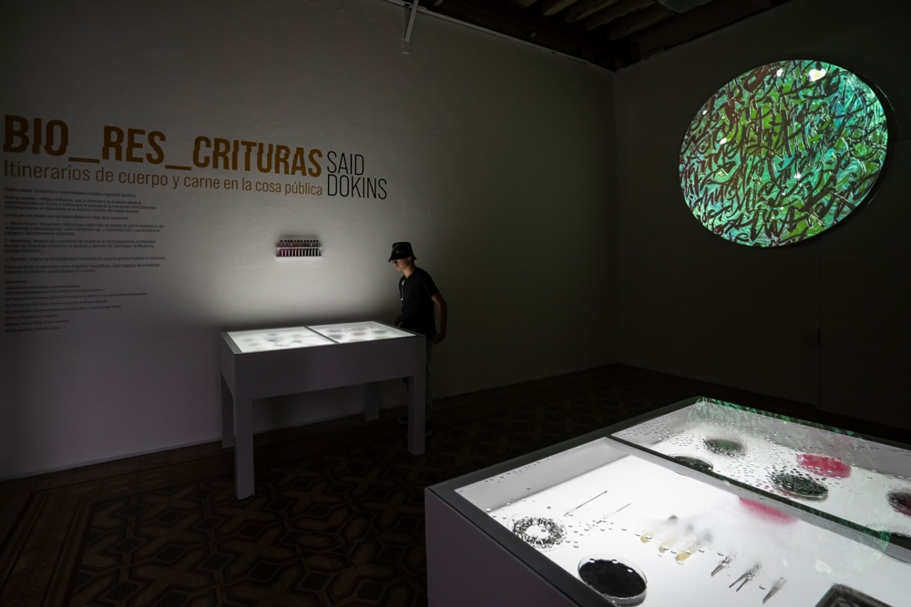 Bioart and calligraphy. A view of the Bio Recrituras project by Said Dokins, an installation art piece featuring living organisms. Beyond the Individual: Exploring the Microbial Complexity of the Human Body