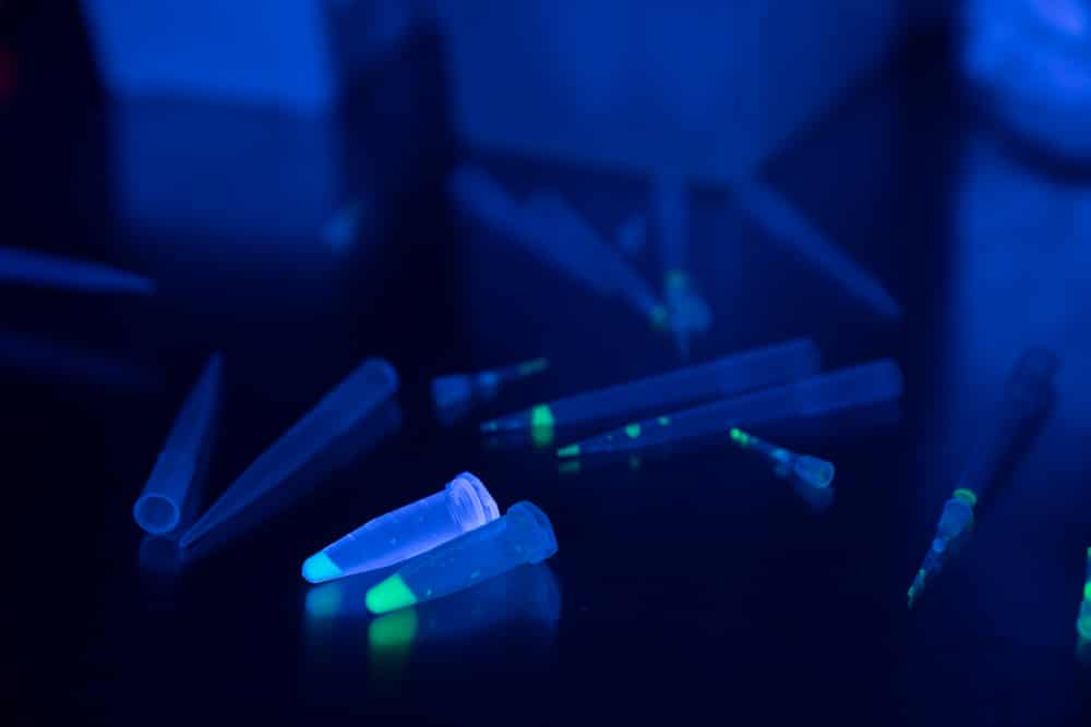 Bioluminescent Calligraphy: Exploring the potential of bioluminescent bacteria in calligraphy using genetic engineering by Said Dokins