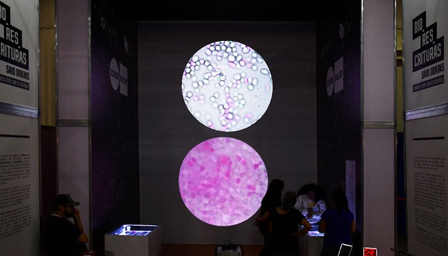 Exploring Bio-Res-Crituras: Said Dokins' Science Gallery Monterrey Solo Exhibit