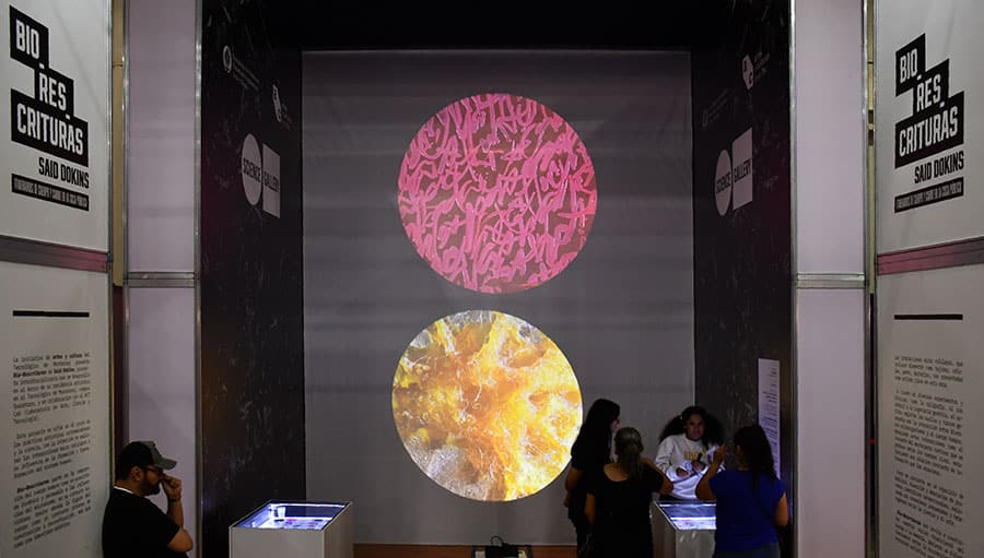 Exploring Bio-Res-Crituras: Said Dokins' Science Gallery Monterrey Solo Exhibit