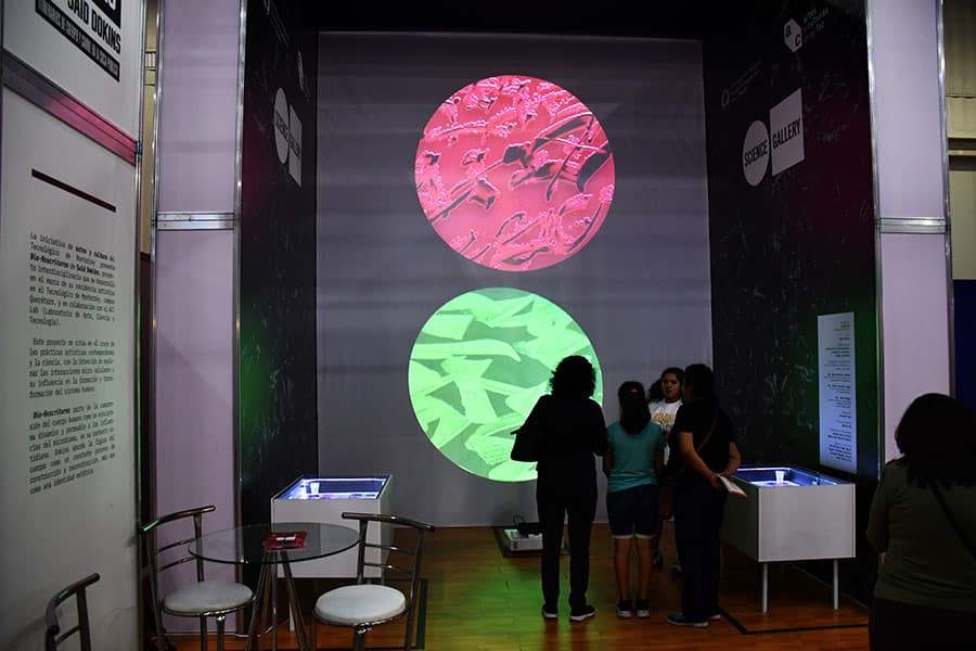 Exploring Bio-Res-Crituras: Said Dokins' Science Gallery Monterrey Solo Exhibit